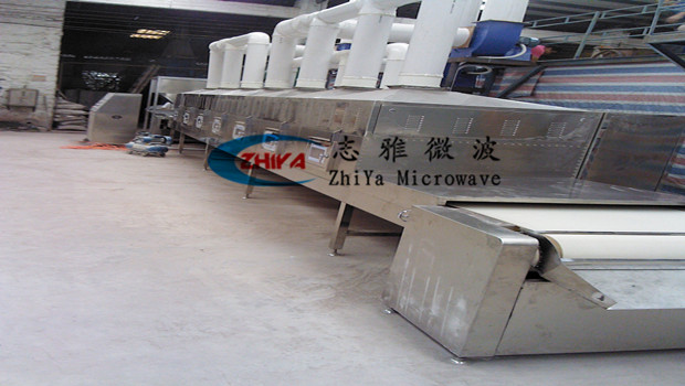 二氧化钛微波干燥设备